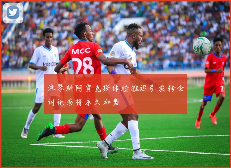津琴科阿贾克斯体检推迟引发转会讨论或将永久加盟