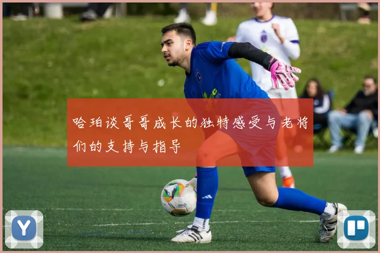哈珀谈哥哥成长的独特感受与老将们的支持与指导